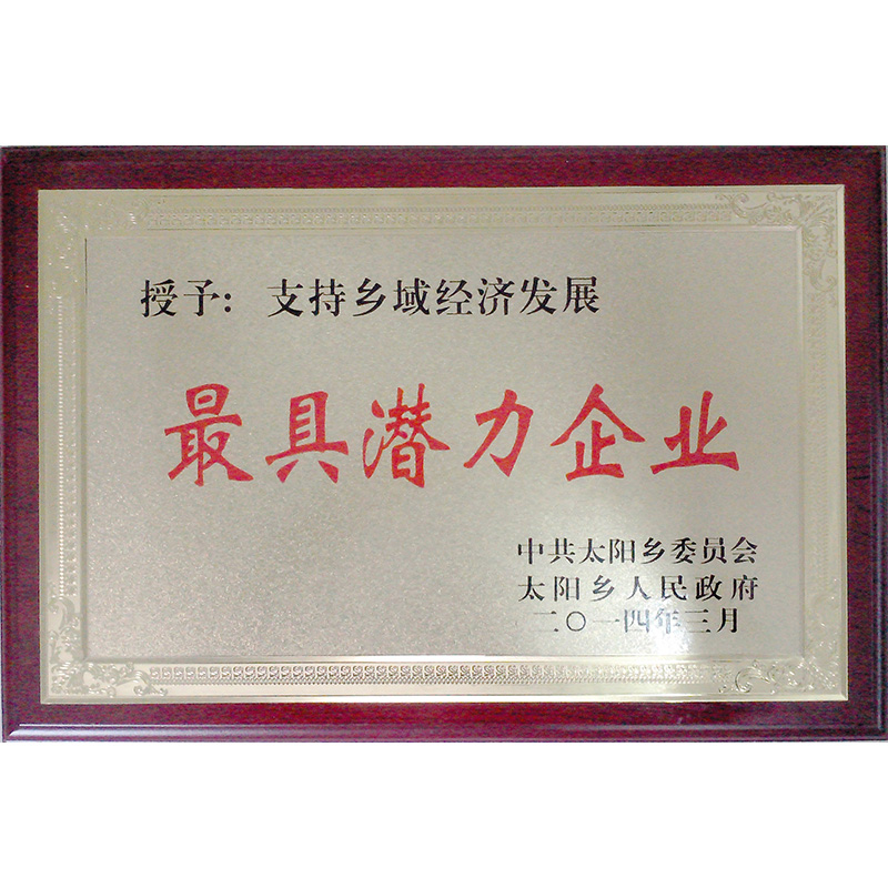 榮譽資質(zhì)