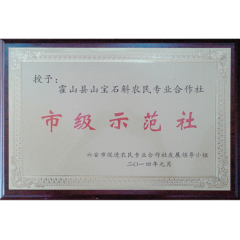 榮譽資質(zhì)